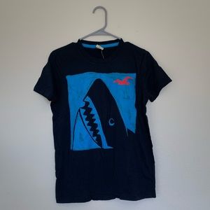 Brand New Hollister Graphic Tee